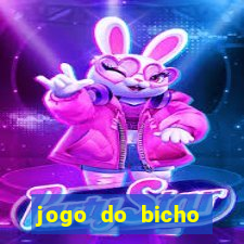 jogo do bicho crash bingo